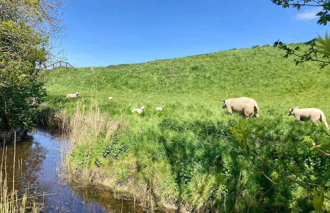 Cozy Holiday Home by the Dike in a Quiet Location at Lauwersmeer - Foto 14