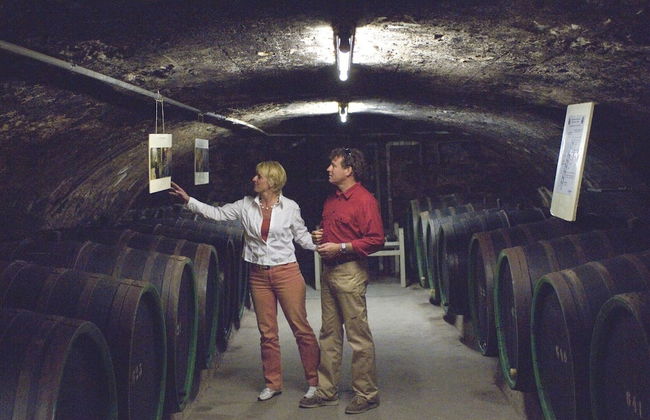 Restyled Villa with Washing Machine near River Moselle - Foto 37