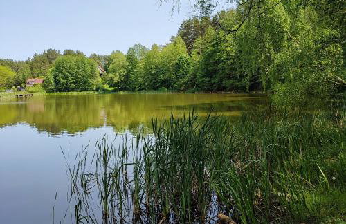 Domek na Skarpie nr 1 Łutynowo gmina Olsztynek - Foto 27