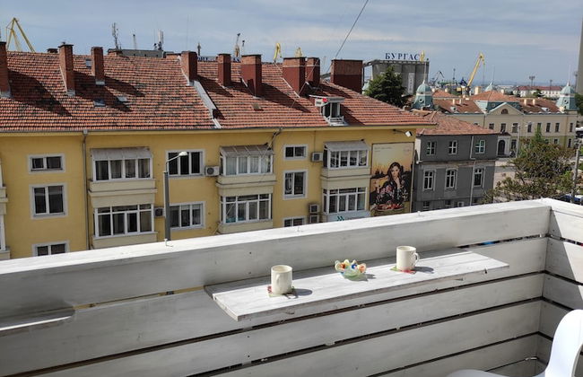 Aleks Classic - Foto 16