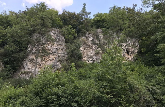 Bungalow Near Eifel Ski Lift - Foto 39