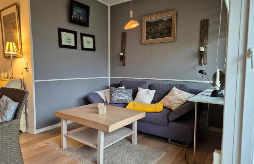 Sternenhimmel Midlum - Foto 17