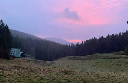 Natur pur im Nationalpark Schwarzwald - Foto 15