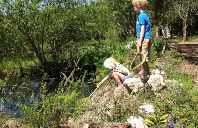 Trecombe Lakes - Foto 39