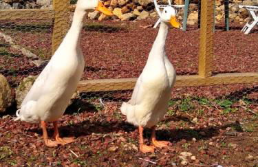 Los Huertos Conect with the nature & relax - Foto 67