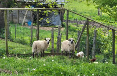 Gîte Pierre, Beynat, Corrèze - Foto 29