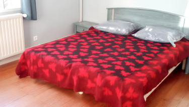 Maison charmante à Sainte-Agnés - Foto 3