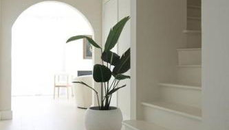 Mr. Nomad: Casa Bohem in Uptown - Foto 4