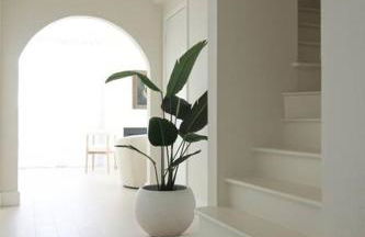 Mr. Nomad: Casa Bohem in Uptown - Foto 4