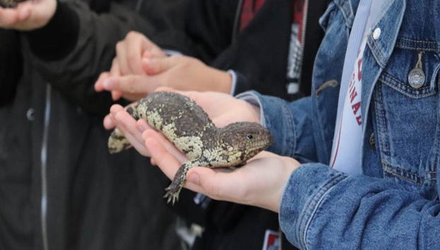 Ingressos para a Admissão Geral no Parque de Vida Selvagem de Gorge - Foto 5