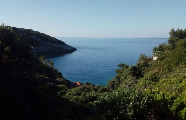 Cozy Robinson Crusoe-style House - Photo 15