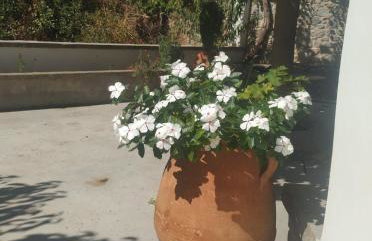 xenios Z rustic rural cottage - Foto 11