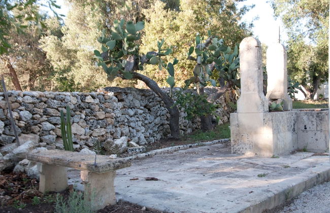 Agriturismo Villa Coluccia - Foto 59