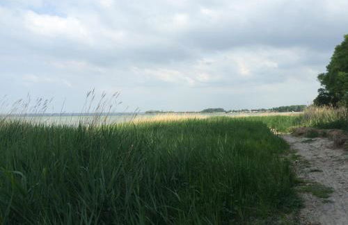 Emilias Hüs, Reethaus in der Bucht von Wismar - Photo 41