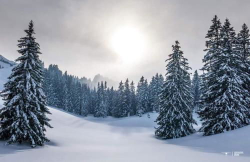 Appartement ambiance chalet avec vidéo-projecteur - Foto 10