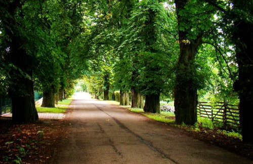 Drzewiecka Chata - Foto 35