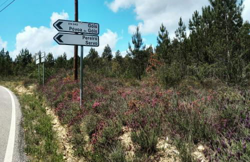 Casa da Póvoa - Foto 22