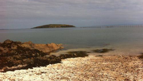 Tower Lodge - Foto 2