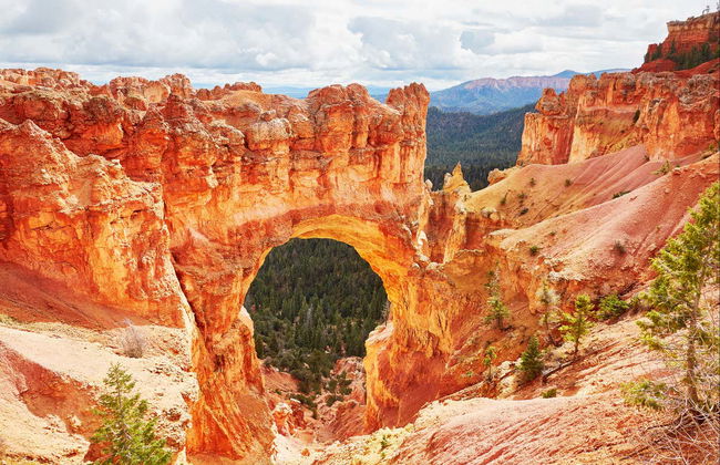 Las Vegas, The Grand Canyon and Antelope, Bryce & Zion Canyons 4-Day Tour - Foto 7