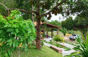 Pousada Chácara Pau - Brasil - Foto 1