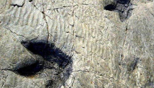 La Casa del Reloj - Foto 2