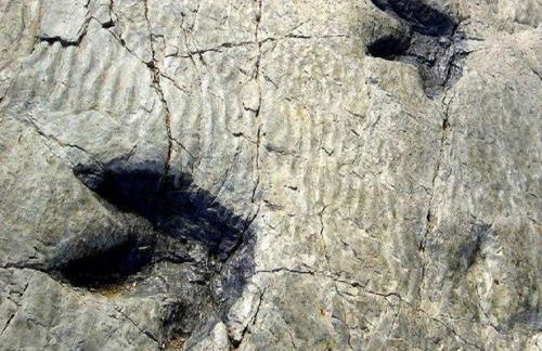 La Casa del Reloj - Foto 2