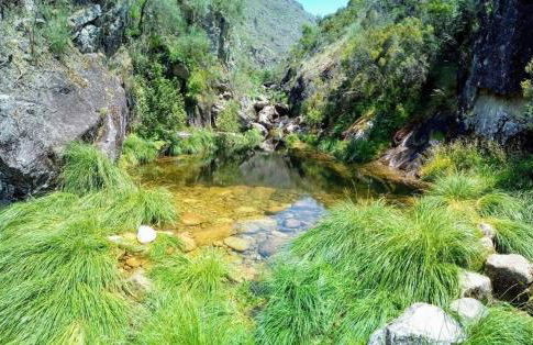 Casa do Carvalhal - Foto 52