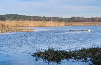 Leśniczówka Zielone Zakole - Foto 17