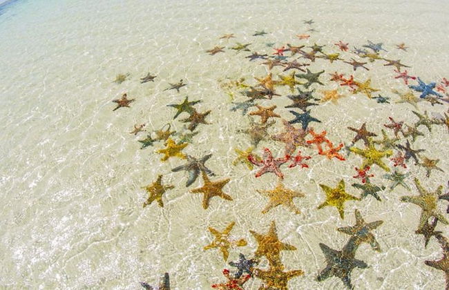 Maweni Beach Cottages - Foto 27