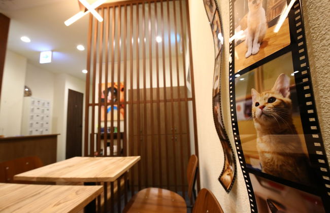 Yagura Hostel - Foto 30