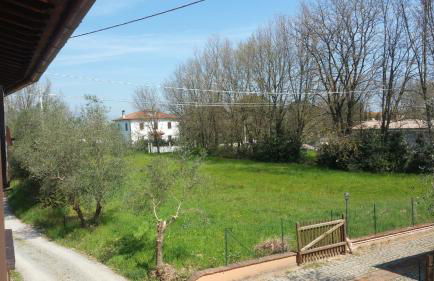 Ulivo Della Querce - Foto 8