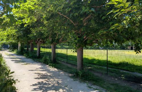 Ferme Pédagogique Bordeneuve - Foto 57