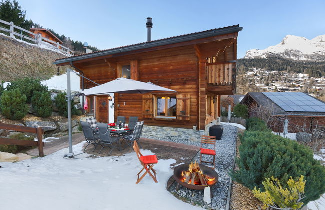 Ecureuil noir - Foto 36