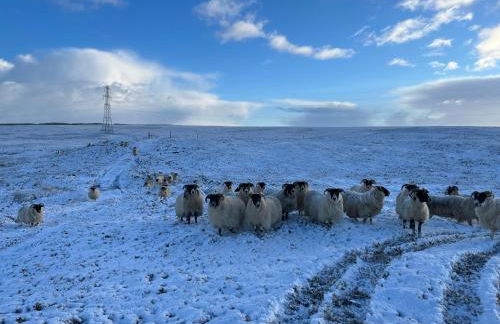 Traditional 2 bed croft - Foto 30