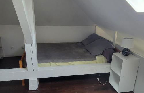 Au bord du Foron - Foto 24