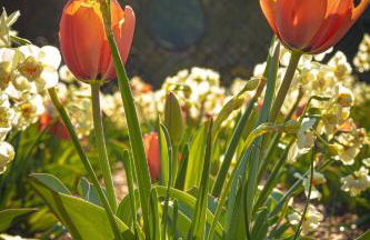 ShortLong Stays Welcome! Hot tub, Dog Friendly! - Foto 45