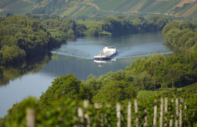 Holiday Home Moselle Valley - Photo 3