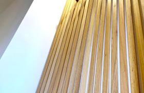 Roses' Home - Foto 32