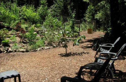 Private Glamping Getaway in the Redwoods near Santa Cruz, California - Foto 37