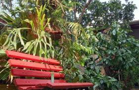 Chalé Puertas y Ventanas - Foto 23