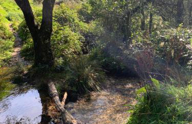 Honeysuckle Cottage - Foto 30