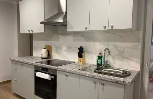 Modern Apartments Padre Espla Alicante - Photo 29