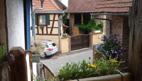 Les hirondelles - Foto 2