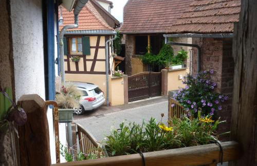 Les hirondelles - Foto 2