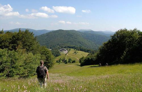Appartement indépendant à proximité de belfort - Foto 18