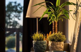 Apartamenty - Dwie Wody - Foto 37