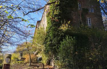 Ferienwohnung in Waldrandlage in Nationalpark Schleiden / Eifel - Foto 37