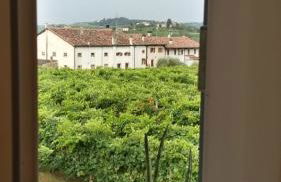 La Casetta - Photo 14