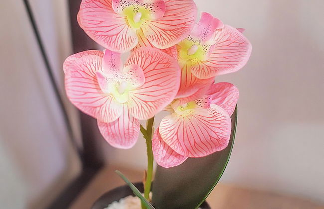 H&B apartments Akhmeta - Foto 26