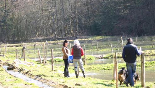 Hollweck´s Landoase - Foto 4